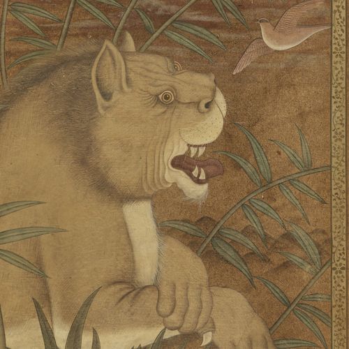 LION AT REST', MUGHAL EMPIRE 狮子在休息》，莫卧儿帝国
1526-1857。纸上水彩画。休息的狮子躺在岩石景观中的竹林里，在黑暗的飘&hellip;