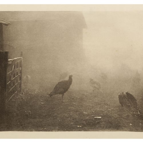 PETER HENRY EMERSON (1856-1936) Peter Henry Emerson (1856-1936) A CORNER OF THE &hellip;