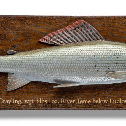 Null Sealed Bid Auction
Interior Design/Fishing: R Brookes: A carved grayling on&hellip;