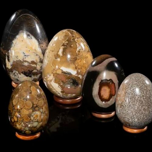Null Sealed Bid Auction
Minerals: A collection of five mineral eggs

the largest&hellip;