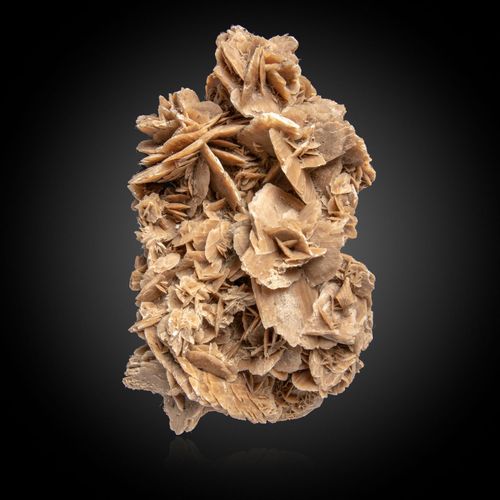 Null Sealed Bid Auction
Minerals: A Desert rose specimen

Sahara

49cm wide

Sea&hellip;