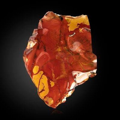Null Sealed Bid Auction
Minerals: A large mookaite slice

Australia

44cm wide

&hellip;