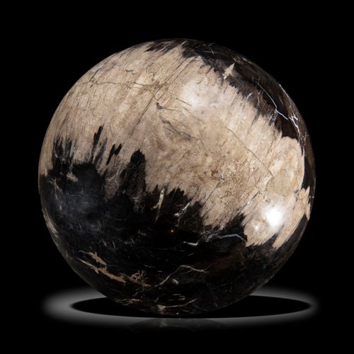 Null Sealed Bid Auction
Minerals: A large fossil wood sphere

Indonesia

28cm di&hellip;