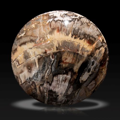 Null Sealed Bid Auction
Minerals: A fossil wood sphere

Madagascar, Triassic, 22&hellip;