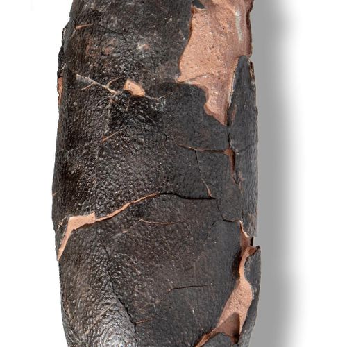 Null Sealed Bid Auction
Minerals: A dinosaur egg, Oviraptor spp.

China, Cretace&hellip;