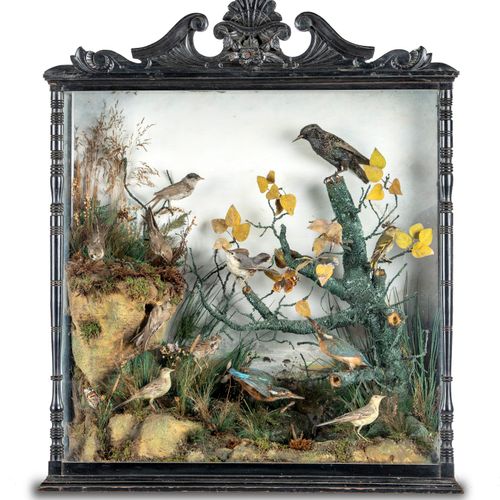 Null 
Taxidermy: A Victorian mixed case of British birds 

circa 1870

96cm high&hellip;