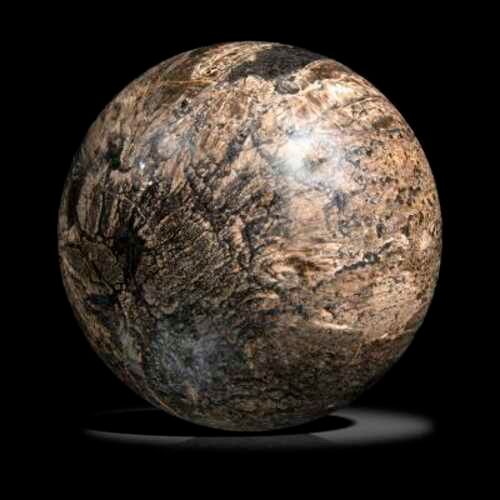 Null Une grande sphère de bois fossile Lepidodendrom Pensylvania, USA

Carbonifè&hellip;