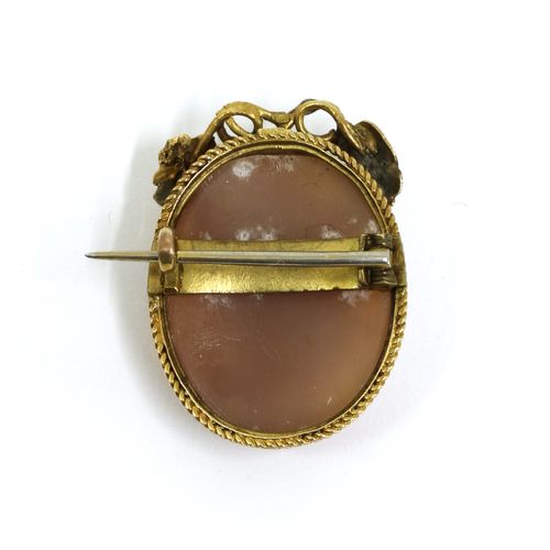 Null A gold shell cameo brooch,