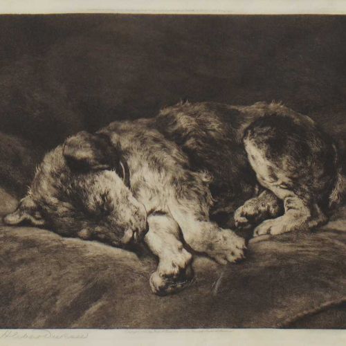 Null Herbert Thomas Dicksee RE (1862-1942) "Sobre el terciopelo", un cachorro do&hellip;