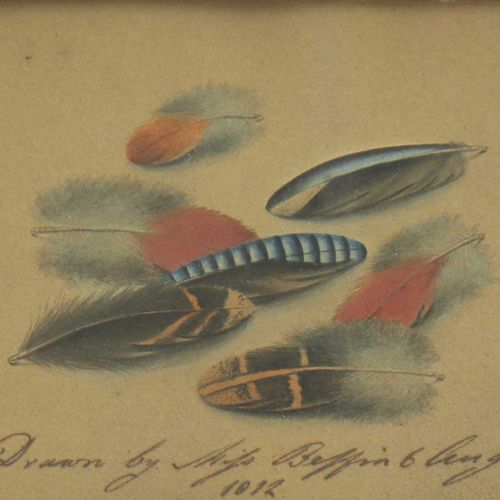 Null Sarah Biffin (1784-1850) Estudio de plumas con la inscripción a bolígrafo "&hellip;