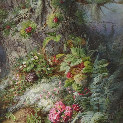 Null Maria Teresa Hegg (1829-1911) Maria Teresa Hegg (1829-1911) 树底的野生蕨类植物和花朵，签名&hellip;