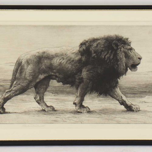 Null Herbert Thomas Dicksee RE (1862-1942) 'Onward', estudio de un león caminand&hellip;