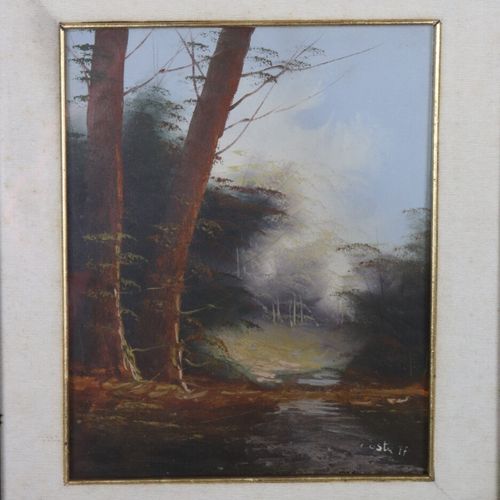 Null COSTA Bosco (XXème), "Paysage au ruisseau", huile sur toile, signée en bas &hellip;