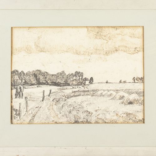 Null Cor Noltee (1903-1967) - Cor Noltee (1903-1967)，草地上的奶牛，木炭和红纸，签名，出处：艺术家的女儿 -&hellip;