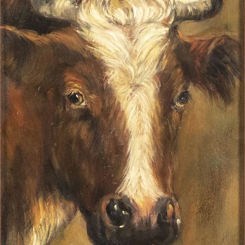Null 画作 - Hans Mijnsbergen (1945)，牛头，面板油画，签名 -23 x 17 cm-