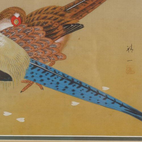 CHINESE SCHOOL 中国学校异国鸟类。 画在丝绸上。