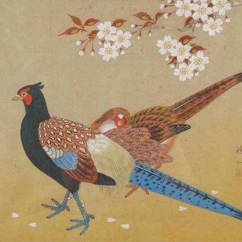 CHINESE SCHOOL 中国学校异国鸟类。 画在丝绸上。