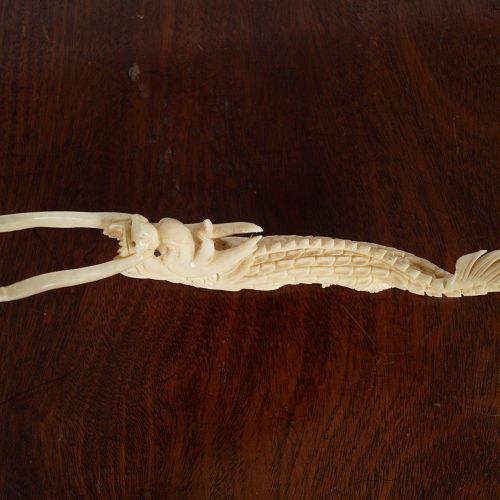 CHINESE IVORY DRAGON 中国象牙龙 中国象牙龙。高6厘米；长14厘米