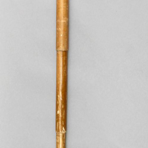 Null Bastón-paragüas siglo XX. En madera de caña albergando paraguas en su inter&hellip;