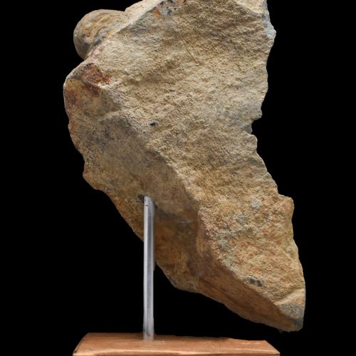 Null GANDHARAN SCHIST的BODHISATTVAC头像a。公元200-300年。 
灰色片岩雕刻，结合了希腊古典风格的自然主义和亚洲佛教艺术的&hellip;