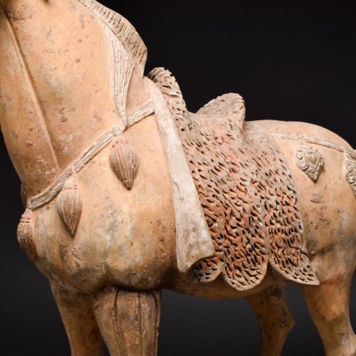 LARGE CHINESE TANG DYNASTY TERRACOTTA HORSE - TL TESTED Ca. 618-906 AP. 
Un gran&hellip;