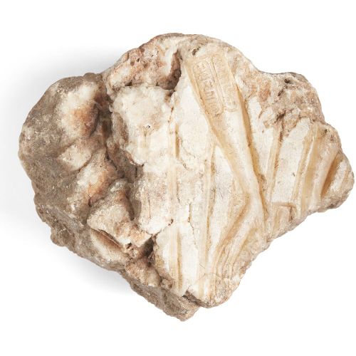 Null An Egyptian style alabaster relief fragment, carved with the arms of a wors&hellip;