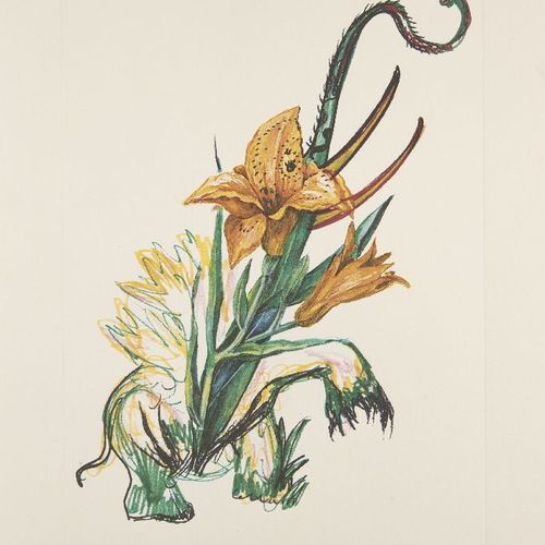 Null Salvador Dalí, 

Spanier 1904-1989-



Blumen (Surrealistische Blumen) [Fel&hellip;