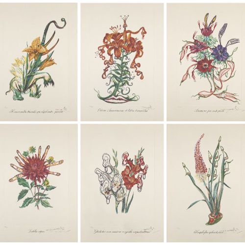Null Salvador Dalí, 

Spanier 1904-1989-



Blumen (Surrealistische Blumen) [Fel&hellip;