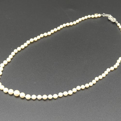 Collier de perles Collier de perles de culture en chute, longueur 52 cm.