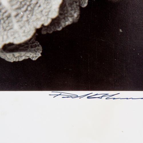 Paul Blanca (1958) 保罗-布兰卡（1958年），本诺，明胶银印刷品，无框，图像29x29厘米，全张41.5x39.5厘米，用黑笔签名 "保罗-&hellip;