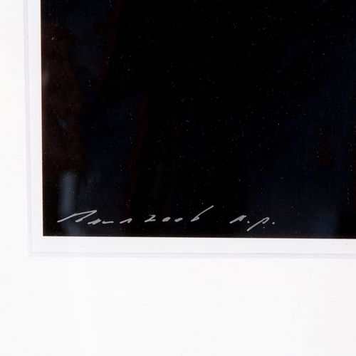 Paul Blanca (1958) 保罗-布兰卡（1958年），《诺拉》，明胶银版画，画面50x60厘米，右下角有银笔签名 "保罗-布兰卡"，标题、题记和日期&hellip;