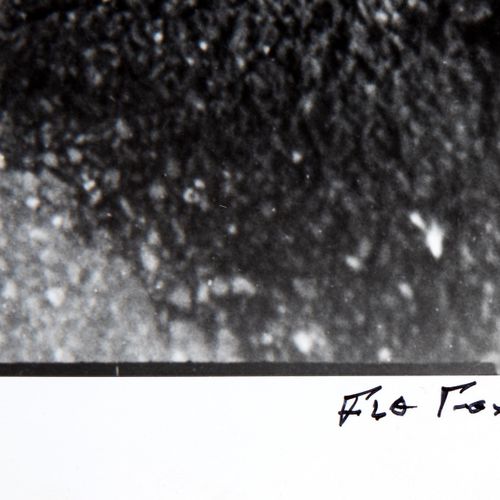 Flo Fox (1945) Flo Fox (1945), Flat Iron In a Puddle, impresión en gelatina de p&hellip;