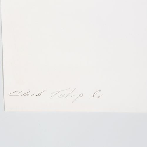 Paul Blanca (1958) 保罗-布兰卡（1958年），《黑郁金香》，明胶银版画，无框，图像34x34厘米，全张40.5x40.5厘米，用铅笔签名，标&hellip;