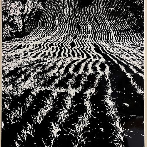 Mario Giacomelli Paesaggio (smaltata), 1968 Ferrotyped silver print, 390x259 mm,&hellip;