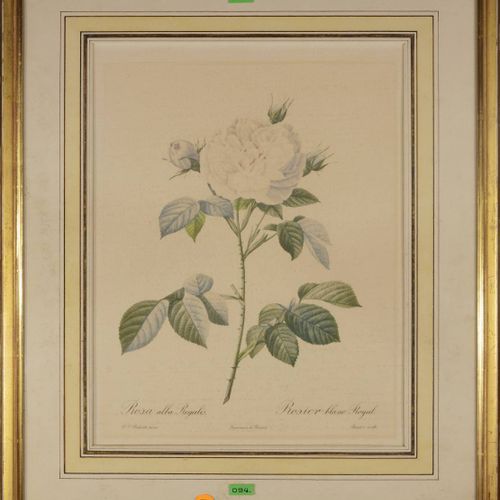 Pierre- Joseph Redoute (1759-1840) DUE MOTIVI BOTANICI (ROSA ALBA REGALIS, ROSA &hellip;