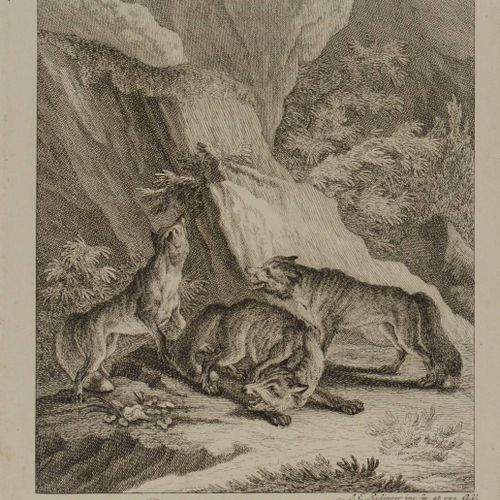 Johann Elias Ridinger (1698-1767) ROTH O MARCA FOXES

1760

Grabado en cobre sob&hellip;