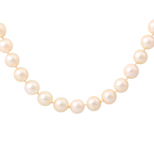 Akoya Zuchtperlkette, Collana di perle coltivate Akoya, circa 7,5 mm. Chiusura W&hellip;