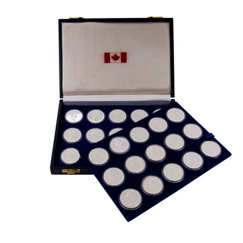 Null 加拿大/银 - 30 x 1盎司。枫叶在特殊的盒子里，封装，各种条件，部分有点斑点，请查看