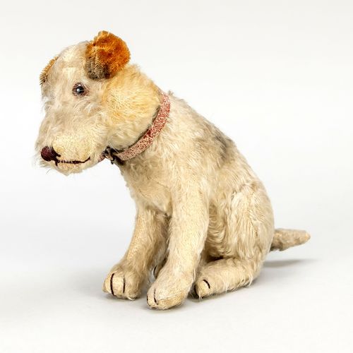 Null Steiff terrier, Germany, 1st half of the 20th century, sitting with ears la&hellip;