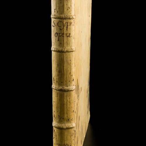 D. Caecilii Cypriani Episcopi Carthaginiensis et Martyris Christi Opera Volume i&hellip;