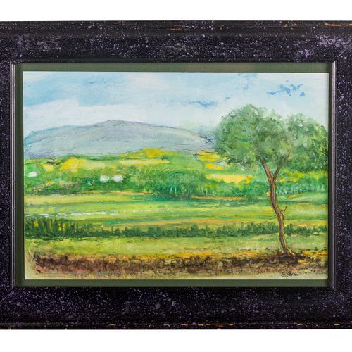 Country landscape watercolor on paper, framed, signed, 30 x 20 cm