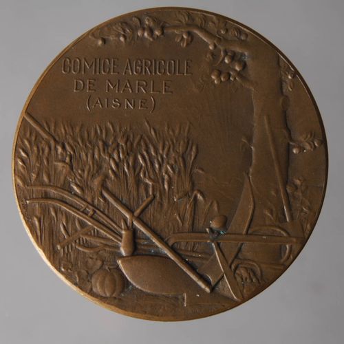 Null 
法国勋章
1900年左右，青铜，农业展览奖牌，正面是有鸡和牛的女仆，背面是马勒农业委员会和农业用具，装在有 "Ministere de L`Agri&hellip;