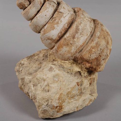 Null Escargot de tour
Lieu de découverte Italie, coquille fossilisée d'un escarg&hellip;