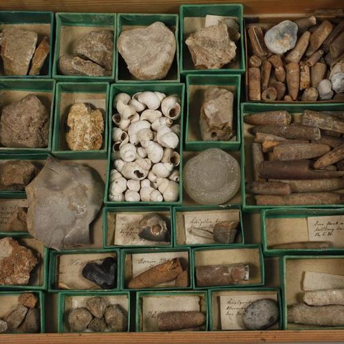 Null Vaste collection de fossiles d'Allemagne
La plupart des sites allemands com&hellip;