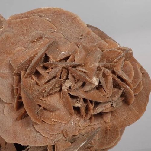 Null Rosa di sabbia grande
Sahara, rosa di sabbia (varietà di gesso) splendidame&hellip;