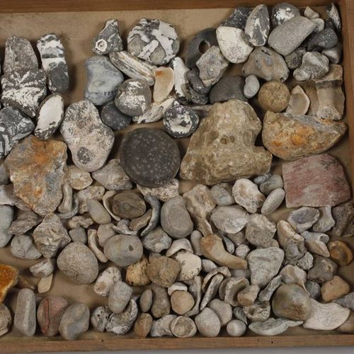 Null Ampia collezione di fossili Germania
per lo più siti tedeschi, ad esempio B&hellip;