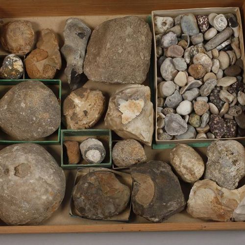 Null Vaste collection de fossiles d'Allemagne
La plupart des sites allemands com&hellip;