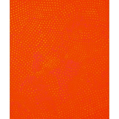KUSAMA Yayoi "ORIGINAL INFINITY NETS "acrílico sobre lienzo 72,7×60,9 cm