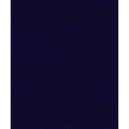 KUSAMA Yayoi "MONDO TRASVERSALE "acrilico su tela 45,5×38,0 cm