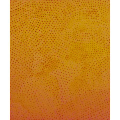 KUSAMA Yayoi "原始的无限网络"，丙烯酸画布，72.7×60.9厘米